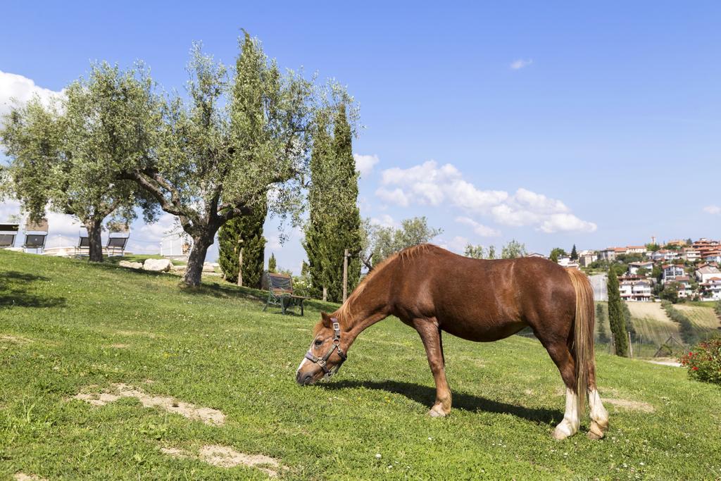 סאן מרינו Agriturismo Le Bosche מראה חיצוני תמונה