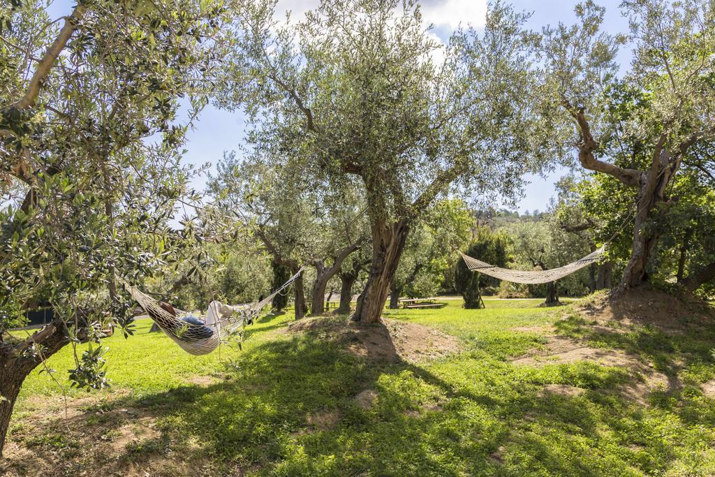 סאן מרינו Agriturismo Le Bosche מראה חיצוני תמונה