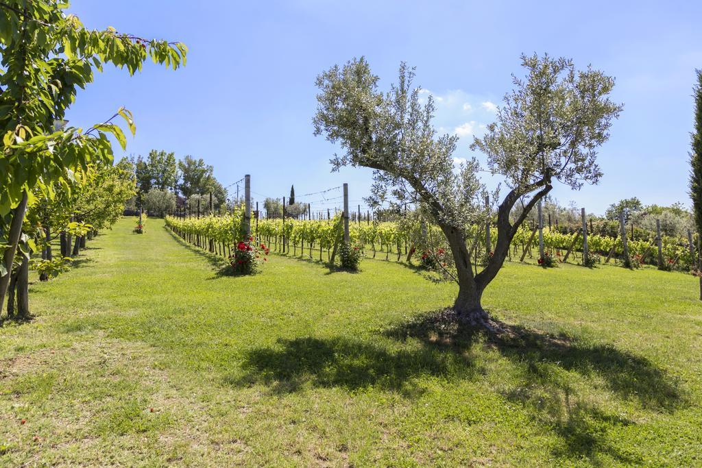 סאן מרינו Agriturismo Le Bosche מראה חיצוני תמונה